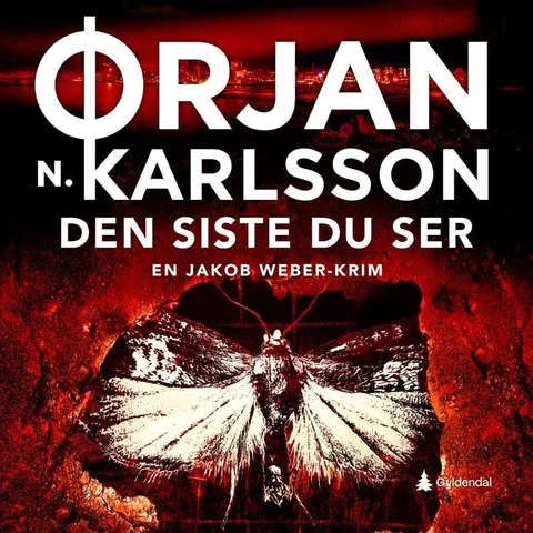 Den siste du ser